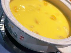 鲍鱼花胶鸡-金龙·打边炉(武进路店)