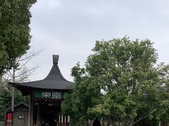 -东园小馆·早茶·淮扬小炒(宋夹城店)