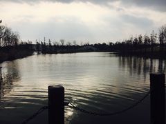 -上海长兴岛郊野公园