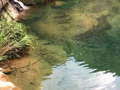 -白云源风景区