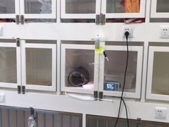 -瑞派·关忠动物医院·异宠专科·犬猫肿瘤·皮肤专科(望京店)