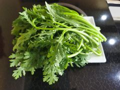 -蒙星月涮肚火锅城(宏运家园店)