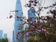 -深圳人才公园