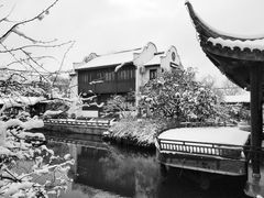 -荆川公园