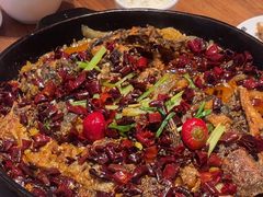 -老板恋上鱼(恒隆广场店)