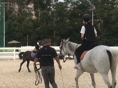 -名驭国际马术学院