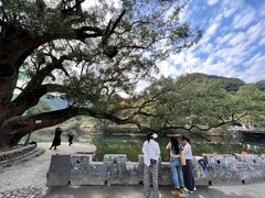-上坦村