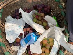 -马陆小张葡萄园农家乐