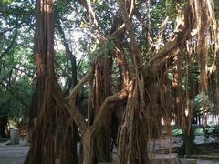 -北海市海滨公园