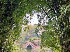 -棠湖公园