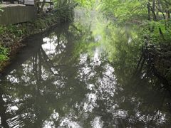 -西湖外事游船(花港观鱼码头)