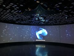 -同济大学四平路校区深海探索馆