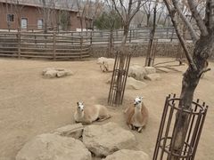 -太原动物园