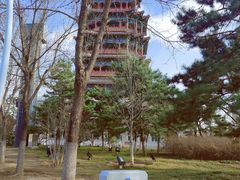-门城湖公园