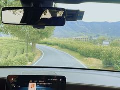 -白茶原·一片叶子