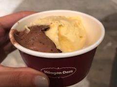 哈根达斯冰淇淋-万达文华酒店·48F云端窗景美食汇自助餐厅