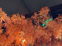 -花间别院(凤凰店)