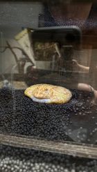 -Zoolung Zoolung动物主题公园(海信广场店)