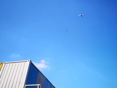 -春花秋色城市公园