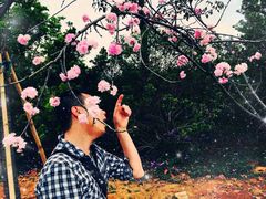 -天适樱花悠乐园
