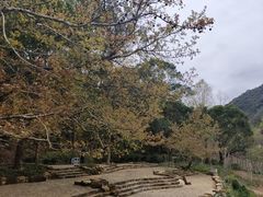-广州市石门国家森林公园