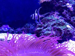 -成都浩海立方海洋公园