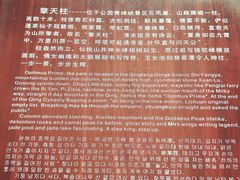 -青峰峡国家森林公园