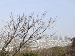 -苏州上方山国家森林公园