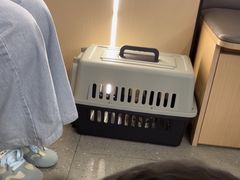 -瑞派伍一宠物医院·眼科·骨科·猫科转诊中心(马王堆院)