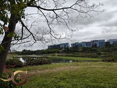 -华侨城湿地公园