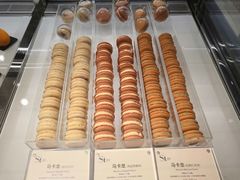 -St蛋糕王国(亨特店)
