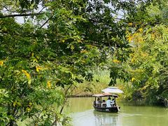 -西溪国家湿地公园