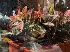 -百味馆·粤菜·湛江菜(后海花园店)
