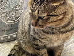 -终南山南五台景区