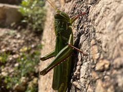 -蟠龙山长城景区