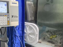 -半岛宠物医院24小时(科华中路店)