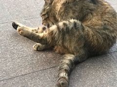 -青岛市图书馆
