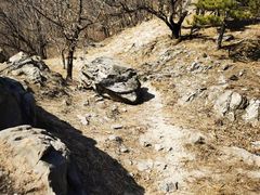 -北京鹫峰国家森林公园