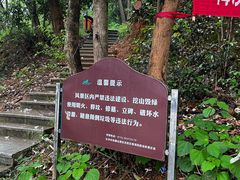 -桃花岭景区