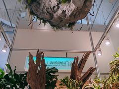 -上海植物园-4号门售票处