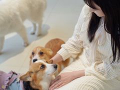 -怪兽屋·羊驼·猫咖·狗咖(俊华广场店)