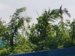 -黄金海岸水上乐园