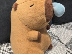 -可爱抓 COCO  GOTCHA(天津鹏欣水游城店)