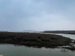 -阿南海鲜