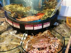 -陶陶居海鲜酒家(新马路店)
