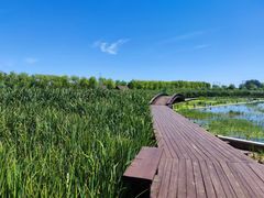 -永定河休闲森林公园