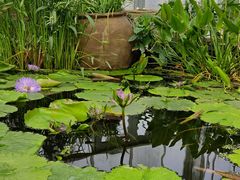 -国家植物园南园