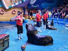 -烟台海昌鲸鲨海洋公园