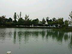 -阳澄湖费尔蒙酒店颐丰阁中餐厅(马鞍山西路店)