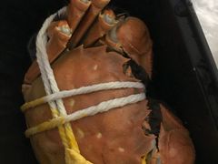 -黄记大闸蟹专卖店·活蟹·醉蟹